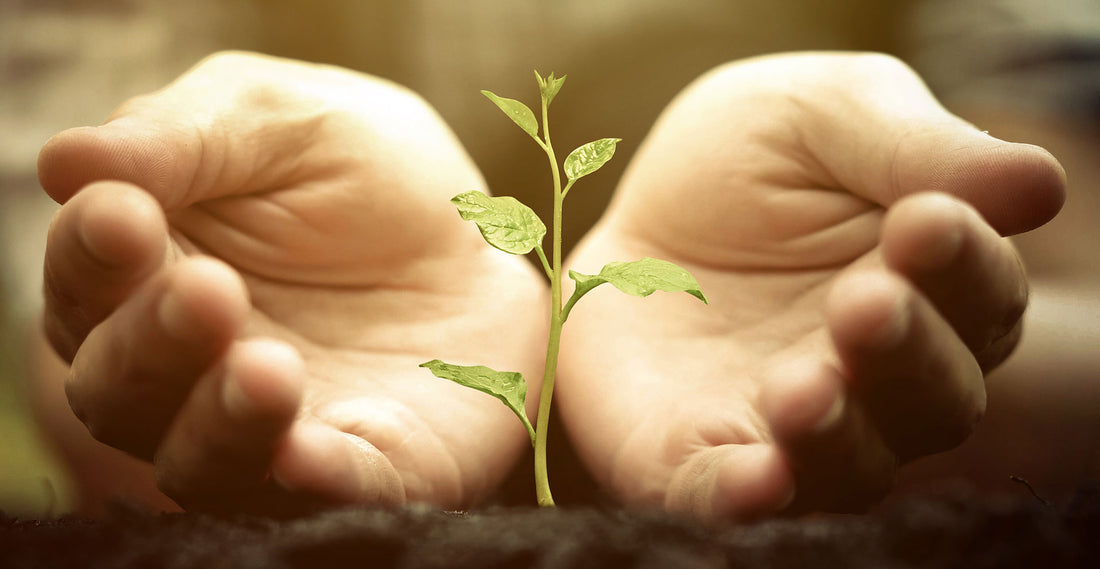 Demand Peace For Our Planet
