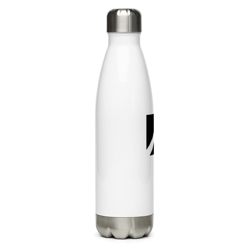 Stainless Water Bottle
